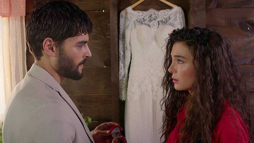 Ветреный: содержание всех 256 серий турецкого сериала в подробностях | 2019-2022 | канал домашний | чем закончится?