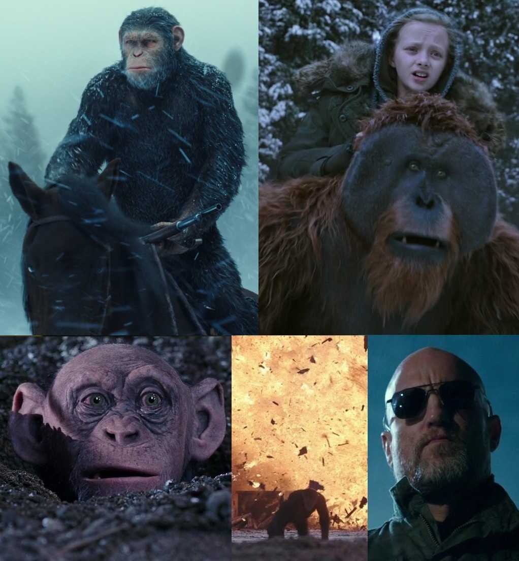 Хронология фильмов «планета обезьян»: все части, фильмы и серии по порядку