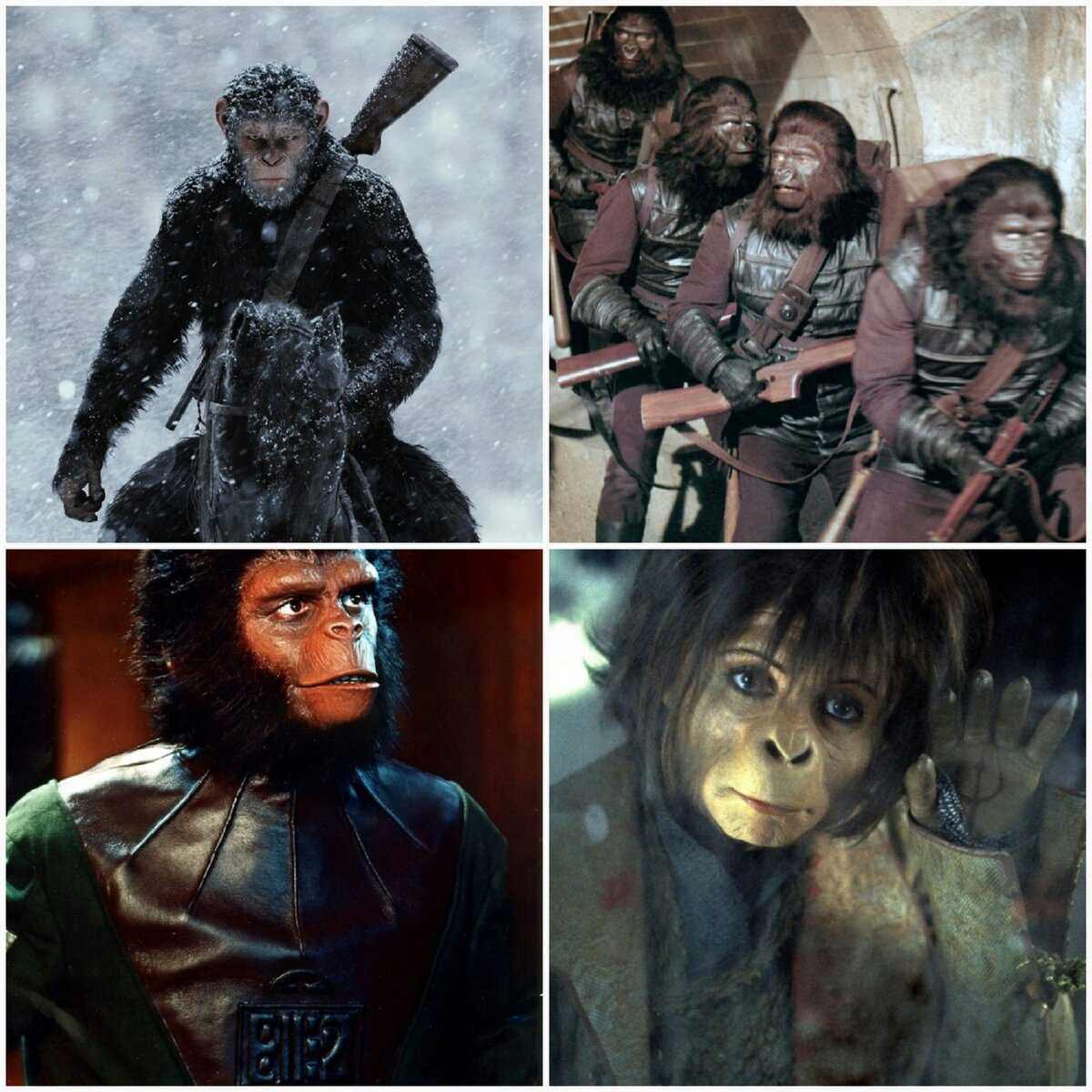 Планета обезьян 4 - дата выхода: когда выйдет фильм в россии
