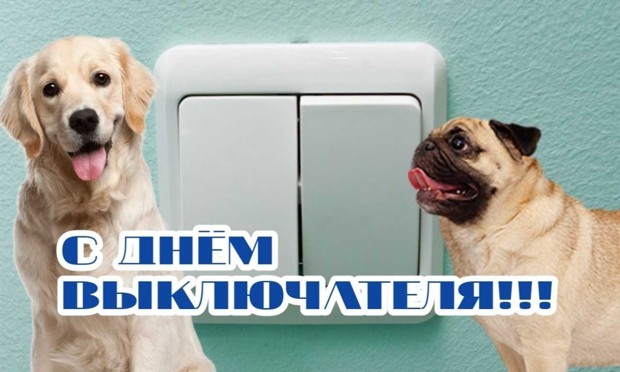 Милый дом 2 сезон: дата выхода новых серий, смотреть онлайн, трейлер и кадры, сюжет